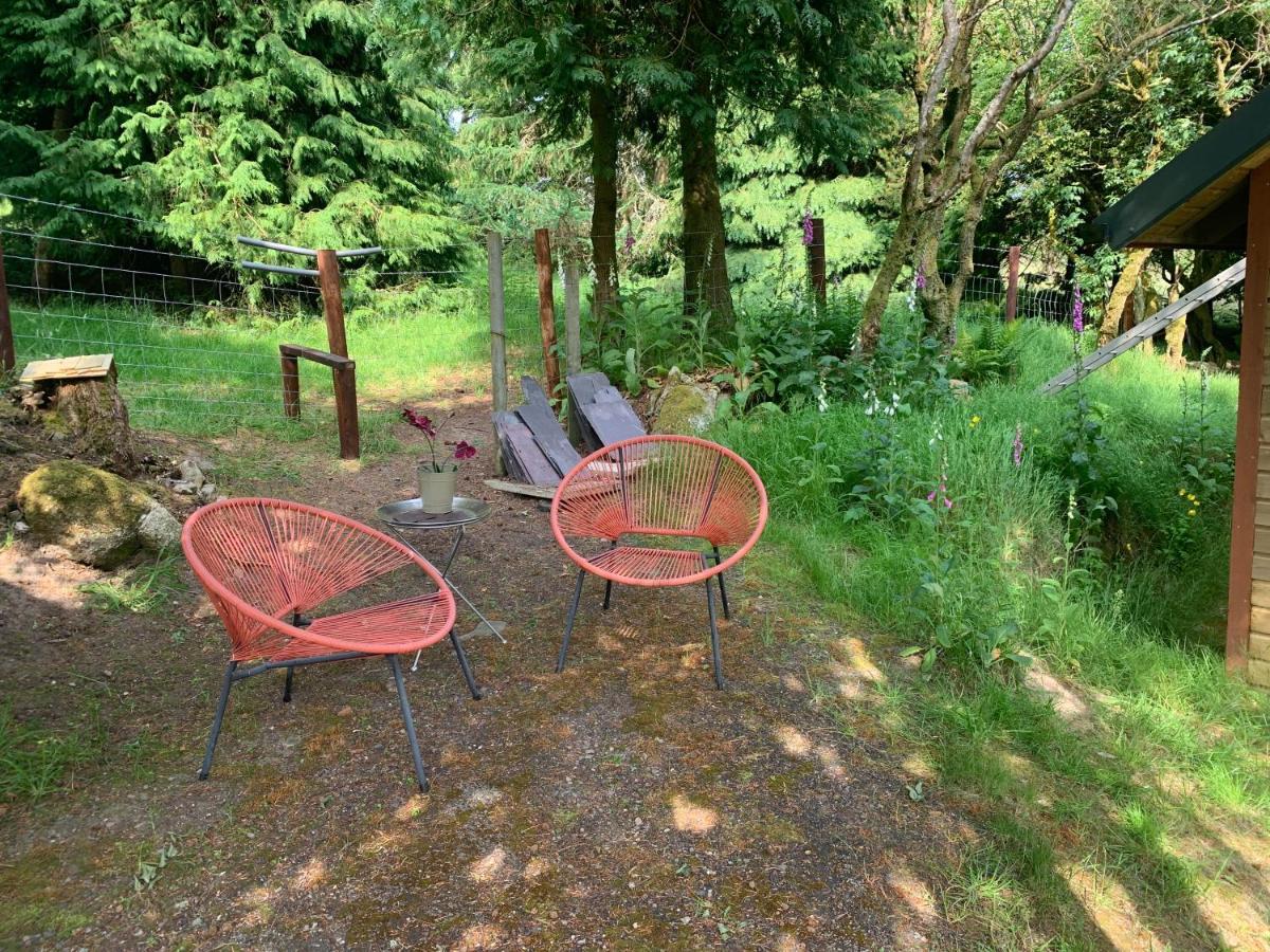 Willow Lodge Dublin Bagian luar foto