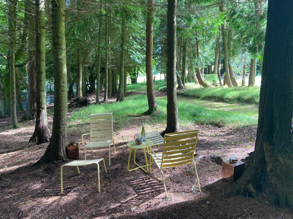 Willow Lodge Dublin Bagian luar foto