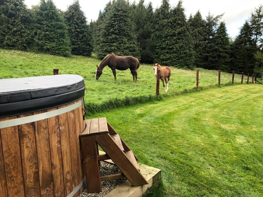 Willow Lodge Dublin Bagian luar foto