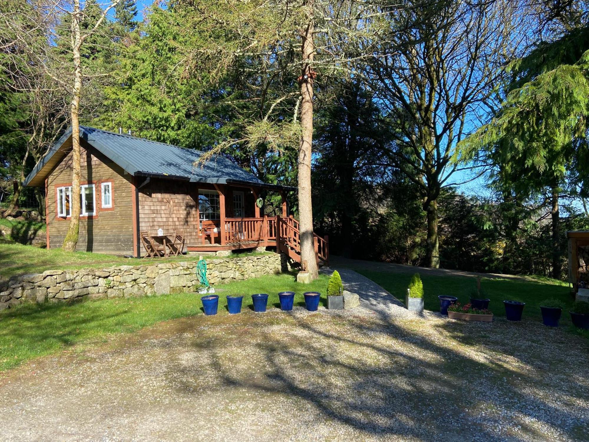 Willow Lodge Dublin Bagian luar foto